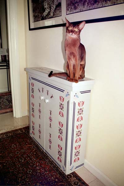 Mango Striking a Pose